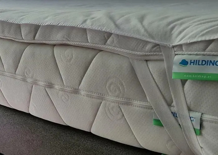 Mone - W Centrum Wroclawia